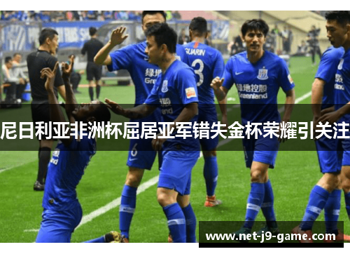 尼日利亚非洲杯屈居亚军错失金杯荣耀引关注