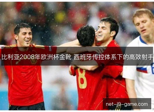 比利亚2008年欧洲杯金靴 西班牙传控体系下的高效射手